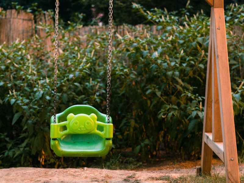 Encounter at the Bucket Swing–July, 2025